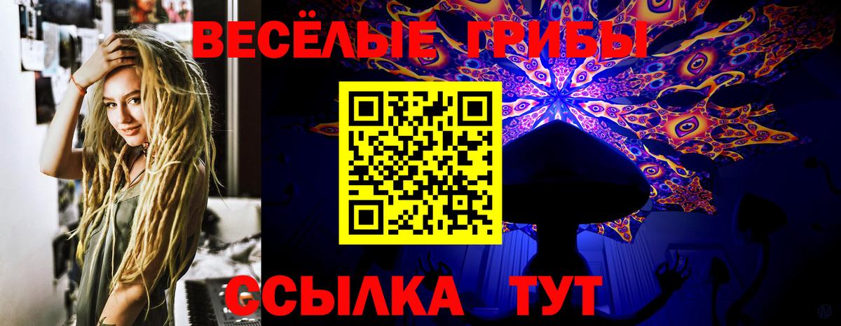 Новочебоксарск  закладки  Вход с VPN  Галлюциногенные грибы MAGIC MUSHROOMS 