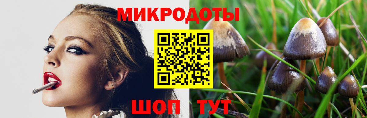 Псилоцибиновые грибы мухоморы Новочебоксарск
